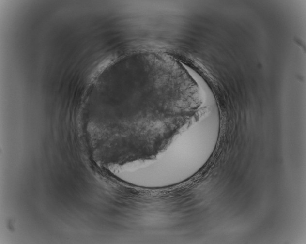 X0000098040679200804251040