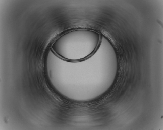 X0000098040680200804251040