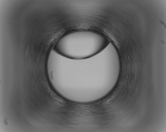 X0000098040681200804251040