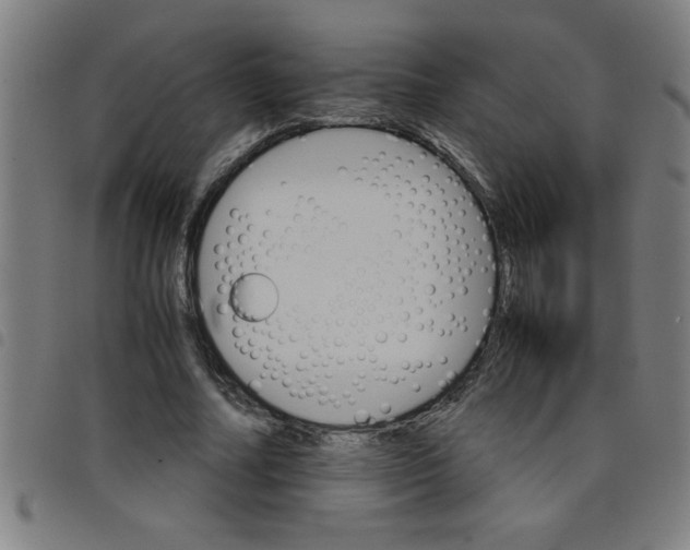 X0000098040682200804251040