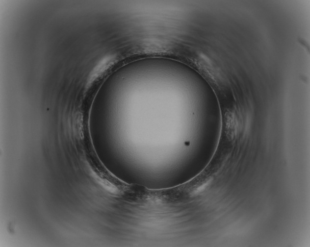 X0000098040684200804251040