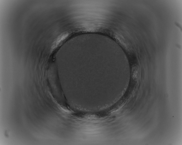 X0000098040685200804251040