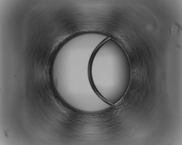 X0000098040688200804251040