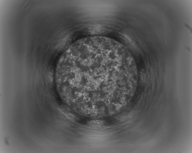 X0000098040691200804251040