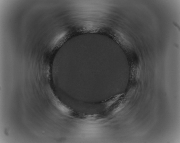 X0000098040693200804251040