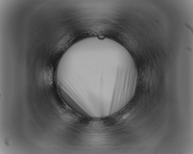 X0000098040694200804251040