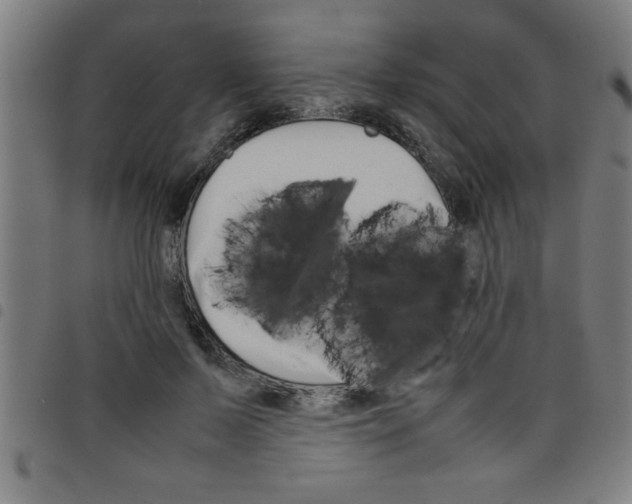 X0000098040695200804251040