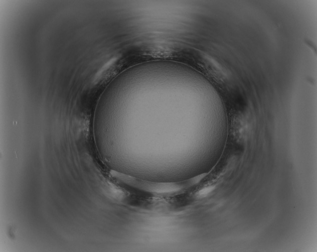 X0000098040697200804251040