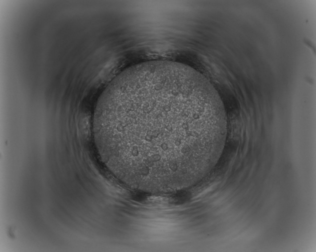 X0000098040699200804251040