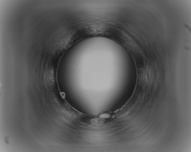 X0000098040700200804251040