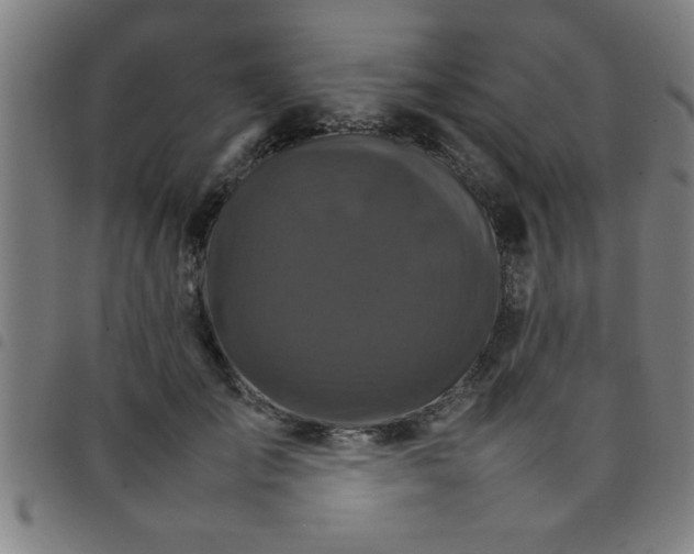 X0000098040701200804251040