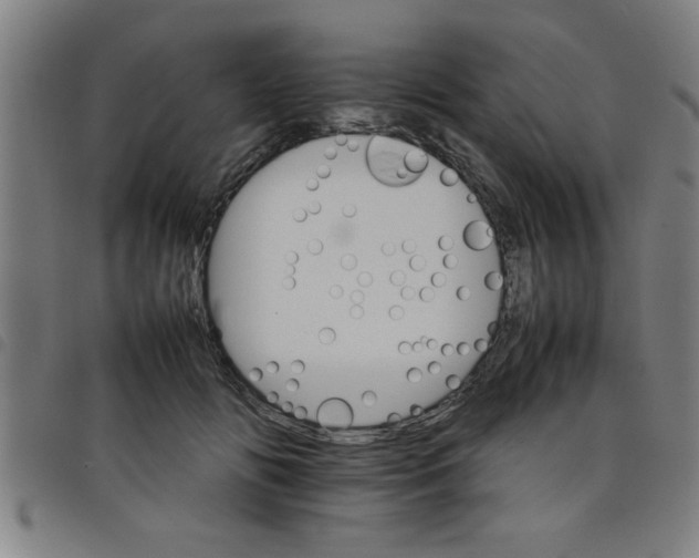 X0000098040702200804251040