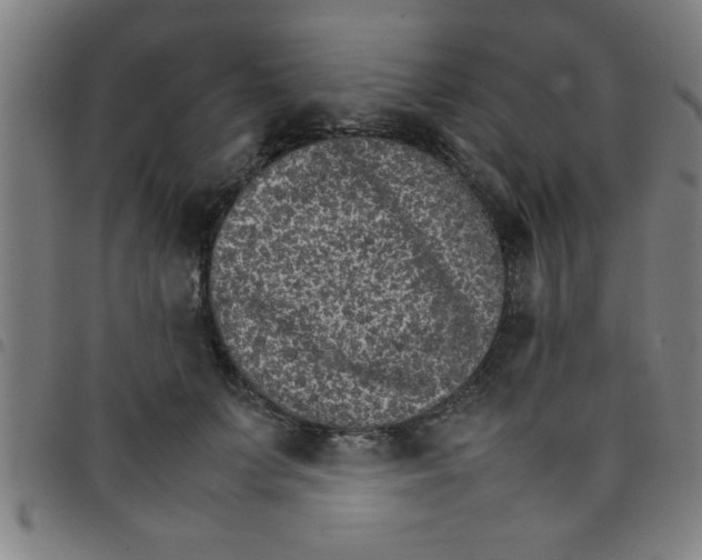 X0000098040703200804251040