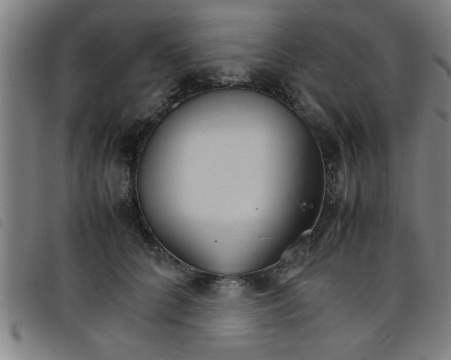 X0000098040704200804251040