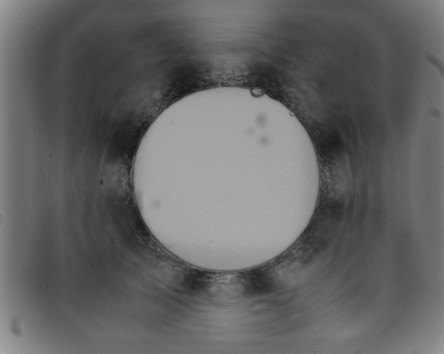 X0000098040705200804251040