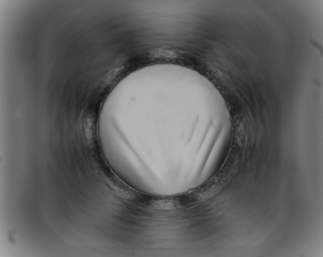 X0000098040708200804251040