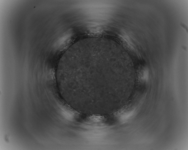 X0000098040711200804251040