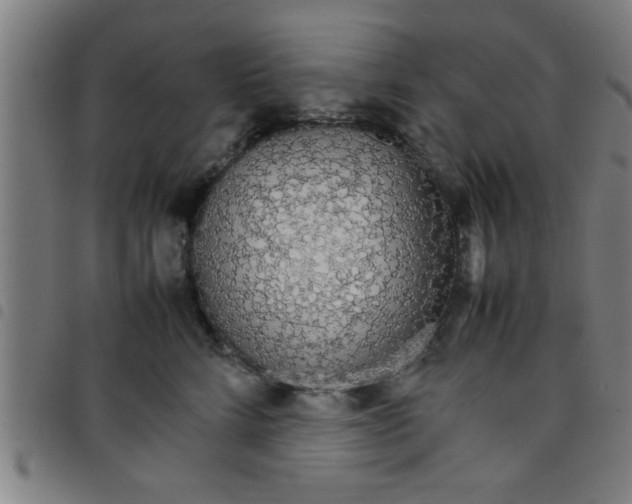 X0000098040712200804251040