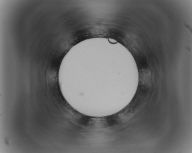 X0000098040713200804251040