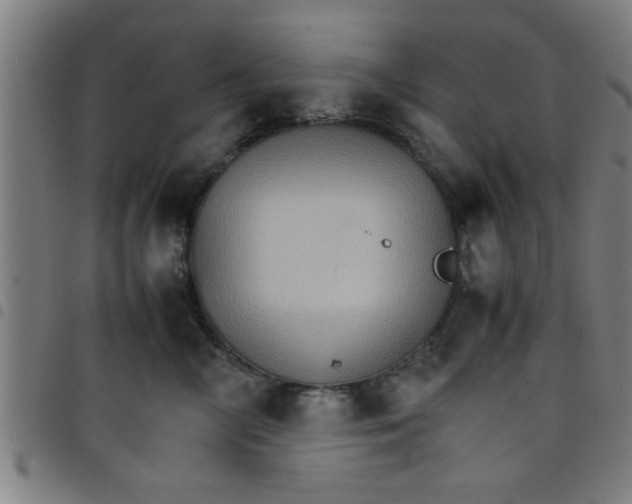 X0000098040714200804251039