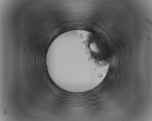 X0000098040715200804251039