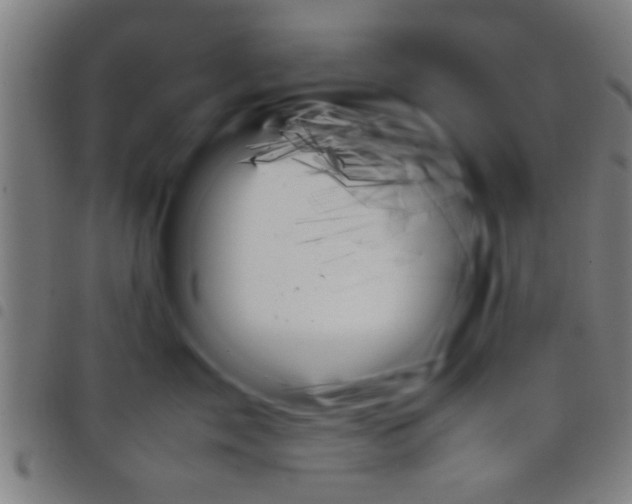 X0000098040717200804251039