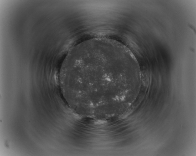 X0000098040718200804251039