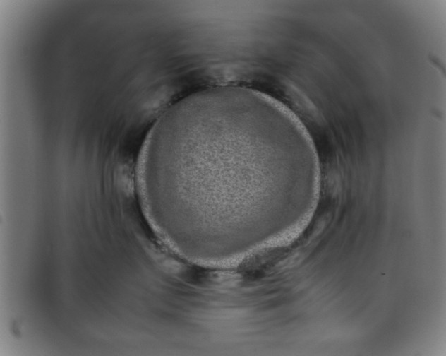 X0000098040719200804251039