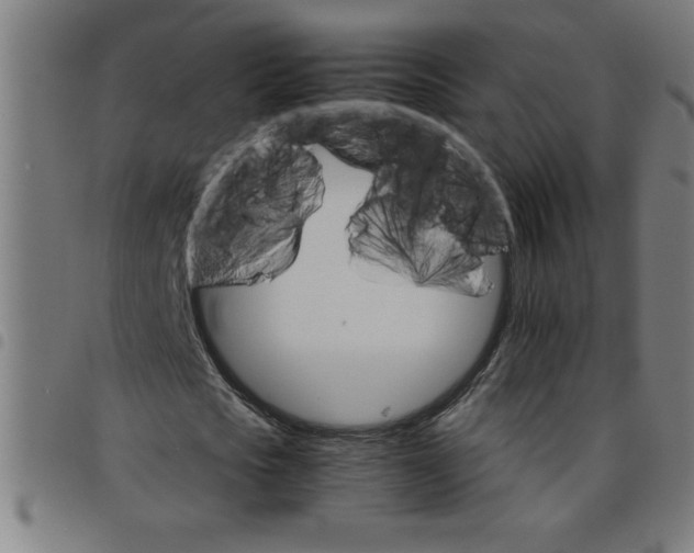 X0000098040721200804251039