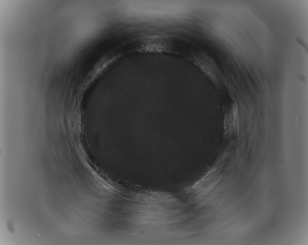 X0000098040722200804251039