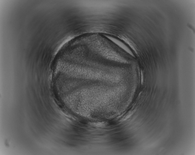 X0000098040723200804251039