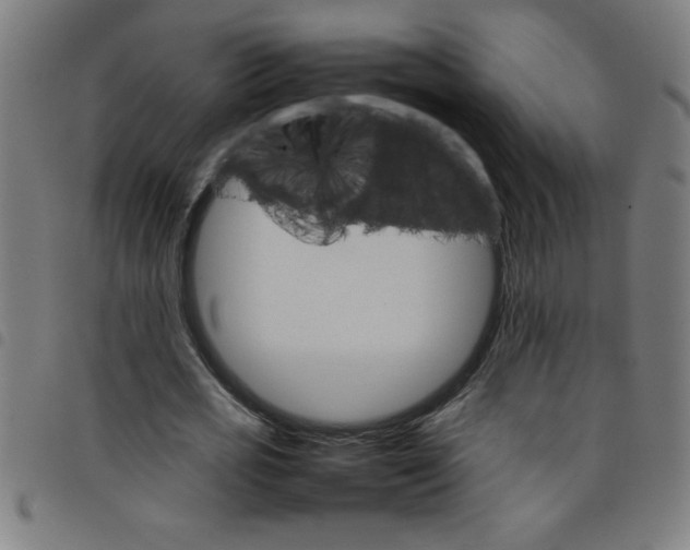 X0000098040725200804251039