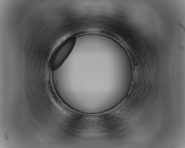 X0000098040726200804251039