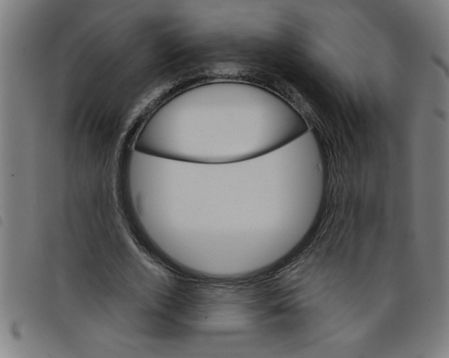 X0000098040728200804251039