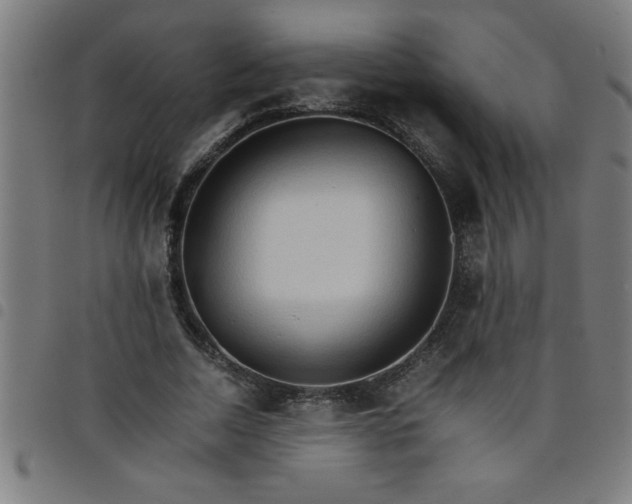 X0000098040730200804251039