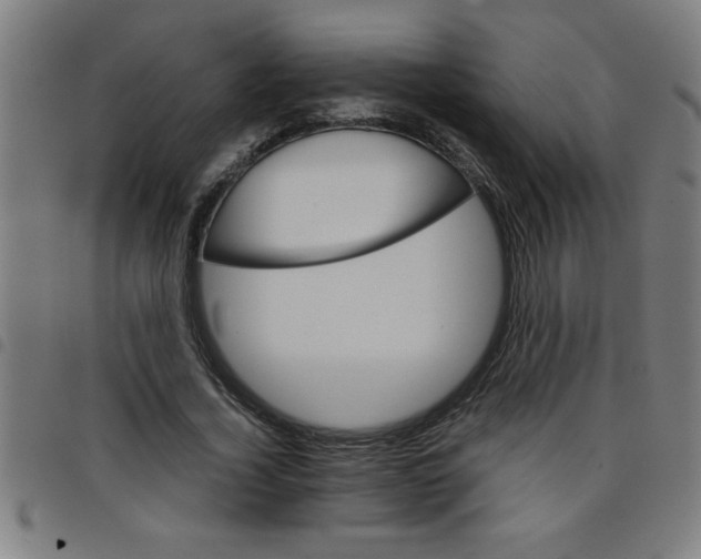 X0000098040732200804251039