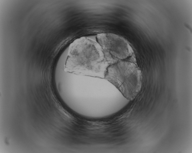 X0000098040733200804251039