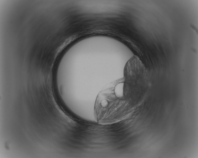 X0000098040734200804251039