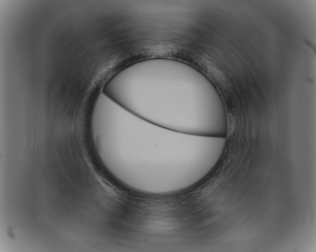 X0000098040736200804251039