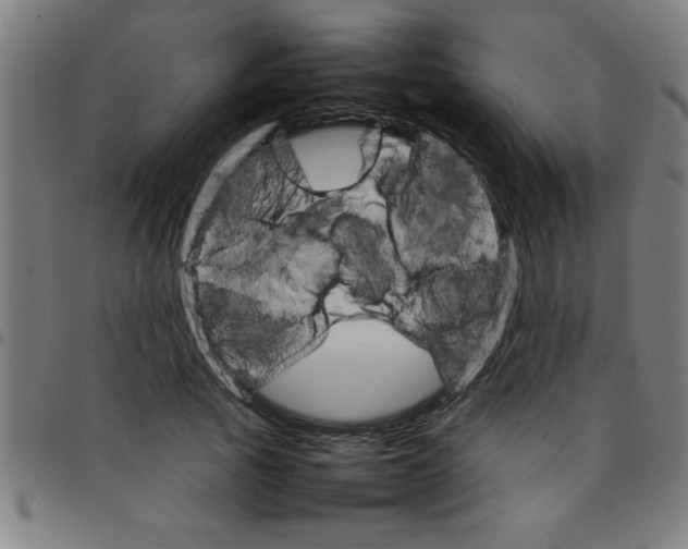 X0000098040737200804251039