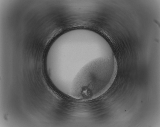 X0000098040738200804251039