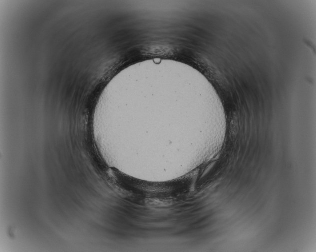 X0000098040739200804251039