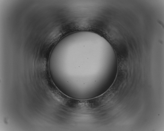 X0000098040744200804251039