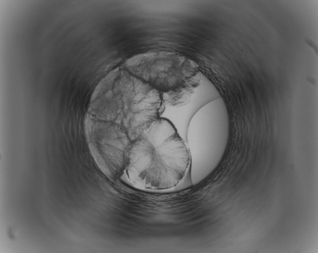 X0000098040745200804251039