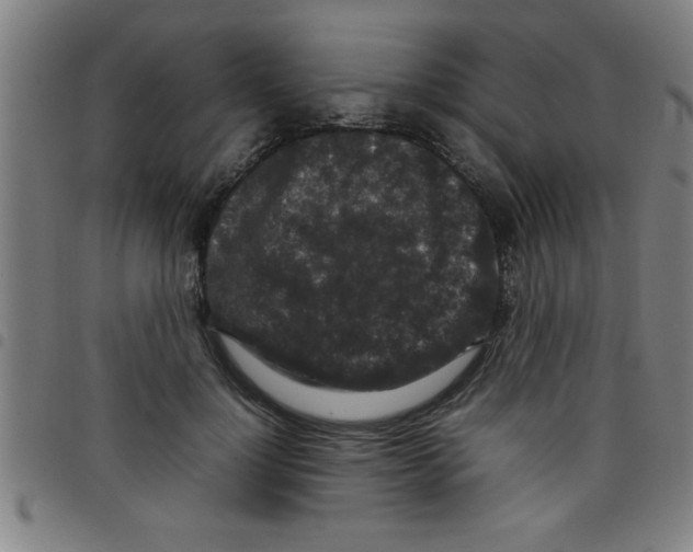 X0000098040748200804251039