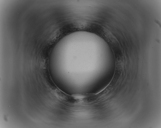 X0000098040750200804251039