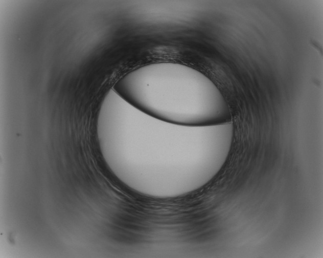 X0000098040752200804251039