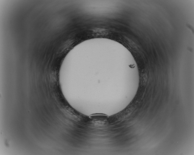 X0000098040756200804251039