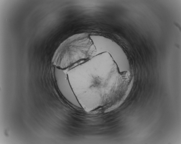 X0000098040757200804251039