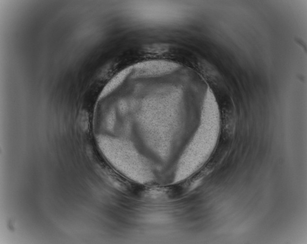 X0000098040758200804251039